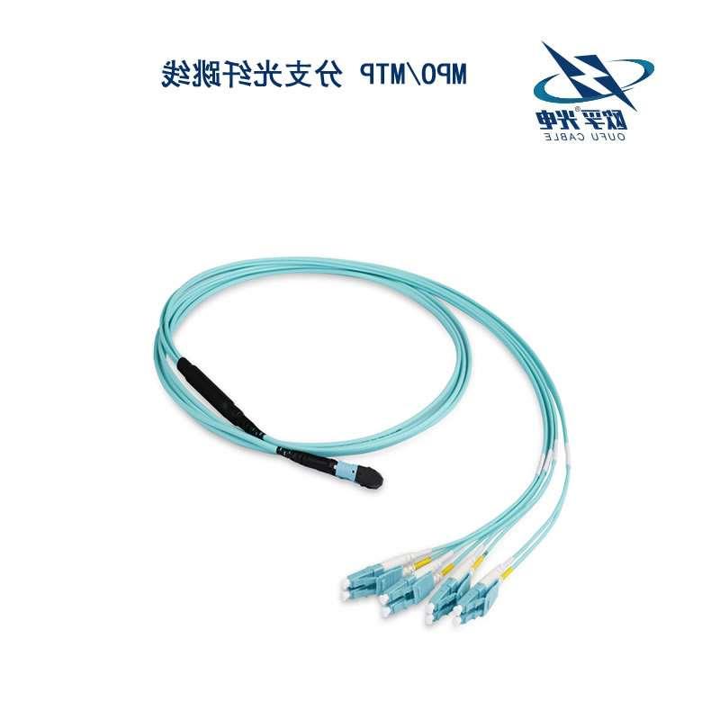 台州市MPO/MTP 分支光纤跳线